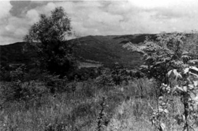 다홍왜 회의 장소. 왕청현 제8구 농민위원회 사무소 터.