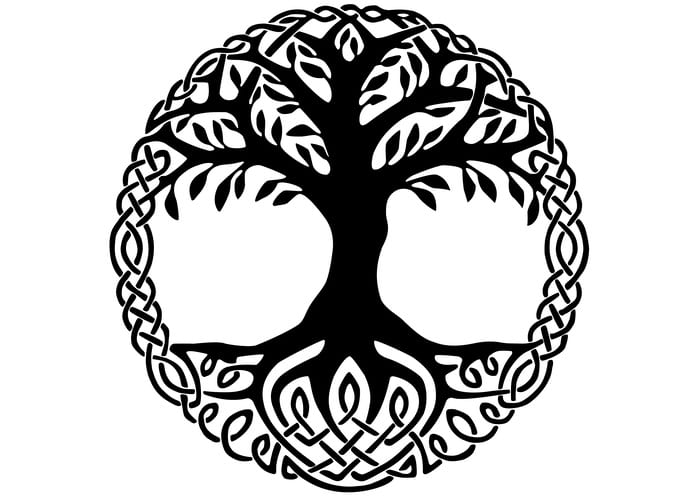 생명에 대한 경외감이 적을 해체하는 첫 걸음이 아닐까. ⓒGetty Images