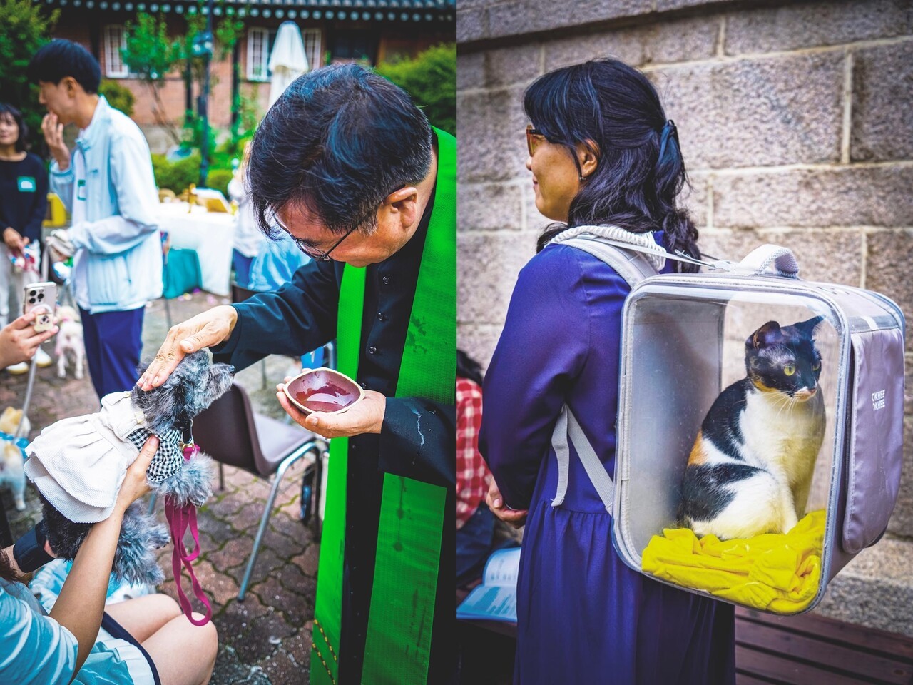 ▲ 박성순 야고보 대한성공회 서울주교좌성당 주임사제가 반려견을 축복하고 있다. 또한 자신의 반려묘에 함께 반려동물 축복식에 참여한 한 여성. ⓒ대한성공회 서울주교좌성당 홍보미디어위원회 제공